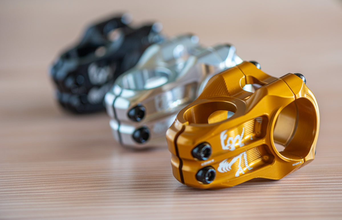 RIZA